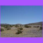 View of Desert.jpg